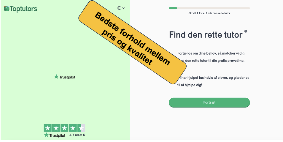 Lektiehjælp på online platforme